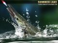Игра Летнее озеро 1.5 онлайн