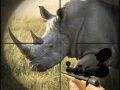 Игра Охота на диких носорогов онлайн