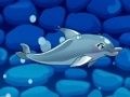 Игра Шоу Дельфинов 5 онлайн