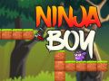 Игра Мальчик ниндзя онлайн Игра Мальчик ниндзя онлайн