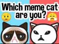 Игра Какой ты мем-кот? онлайн