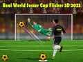 Игра Реальный чемпионат мира по футболу 3D 2023 онлайн
