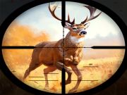 Игра Охота на диких животных онлайн