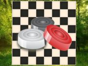 Игра Классические шашки: Лес онлайн