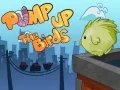 Игра Накачай птиц онлайн Игра Накачай птиц онлайн