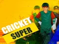 Игра Супер крикет онлайн Игра Супер крикет онлайн