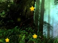 Игра Скрытые звёзды: Лес онлайн