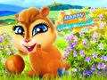 Игра Счастливый бурундук онлайн