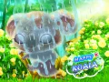 Игра Счастливая коала онлайн Игра Счастливая коала онлайн
