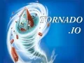 Игра Угроза Торнадо.ио онлайн Игра Угроза Торнадо.ио онлайн