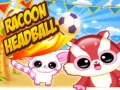 Игра Еноты играют в мяч онлайн Игра Еноты играют в мяч онлайн