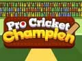 Игра Профессиональный чемпионат по крикету онлайн