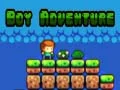 Игра Приключение мальчика онлайн