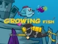 Игра Выращивание Рыбы онлайн
