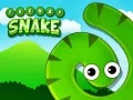 Игра Безумная змея онлайн