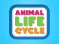 Игра Жизненный цикл животных онлайн Игра Жизненный цикл животных онлайн