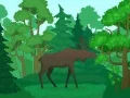 Игра Дикие животные: Раскраска онлайн