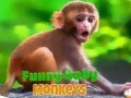 Игра Забавная обезьянка малышка онлайн