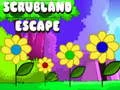 Игра Побег из кустарника онлайн Игра Побег из кустарника онлайн