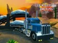 Игра 18 Симулятор вождения Уилера онлайн Игра 18 Симулятор вождения Уилера онлайн