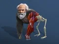 Игра Эволюция от клетки к человеку онлайн