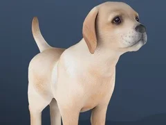 Игра Домашний питомец онлайн