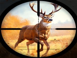 Игра Охота на диких животных онлайн
