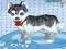 Игра Милое купание собаки онлайн