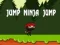 Игра Прыгай, ниндзя, прыгай онлайн