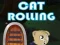 Игра Кот катится онлайн
