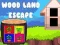 Игра Побег из леса онлайн
