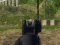 Игра Армейский шутер онлайн