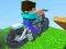Игра Сумасшедший мотоцикл онлайн
