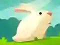 Игра Жадный кролик онлайн Игра Жадный кролик онлайн