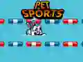 Игра Спорт животных онлайн Игра Спорт животных онлайн