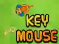 Игра Ключ для мышки онлайн Игра Ключ для мышки онлайн