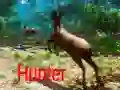 Игра Охотник онлайн Игра Охотник онлайн
