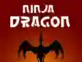 Игра Дракон ниндзя онлайн Игра Дракон ниндзя онлайн