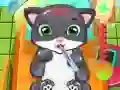 Игра Доктор кошки онлайн Игра Доктор кошки онлайн