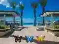 Игра Найдите 100 бабочек онлайн Игра Найдите 100 бабочек онлайн