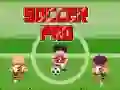 Игра Профессиональный футбол онлайн Игра Профессиональный футбол онлайн