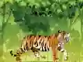 Игра Сердитый тигр: Раскраска онлайн