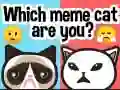 Игра Какой ты мем-кот? онлайн Игра Какой ты мем-кот? онлайн