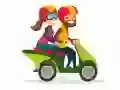 Игра Спортивные мотоциклы: Отличия онлайн Игра Спортивные мотоциклы: Отличия онлайн