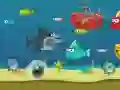 Игра Сумасшедшая акула онлайн Игра Сумасшедшая акула онлайн