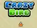 Игра Сумасшедшая птица онлайн Игра Сумасшедшая птица онлайн