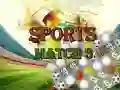 Игра Спортивный матч 3 Делюкс онлайн Игра Спортивный матч 3 Делюкс онлайн