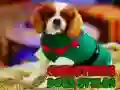 Игра Рождественский стиль собак онлайн Игра Рождественский стиль собак онлайн