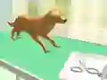 Игра Уход за лапами онлайн Игра Уход за лапами онлайн