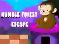 Игра Скромный побег из леса онлайн Игра Скромный побег из леса онлайн